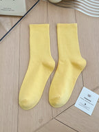 Women's Colorful Crew Socks –  Socks, One Size